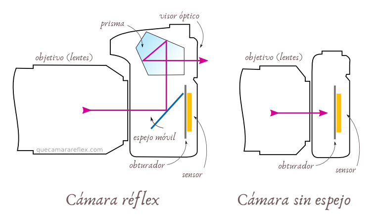 Cámara Réflex o Cámara Sin Espejo ¿Cuál Comprar?